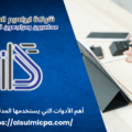 أهم الأدوات التي يستخدمها المدقق المالي