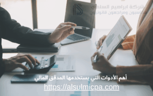 أهم الأدوات التي يستخدمها المدقق المالي