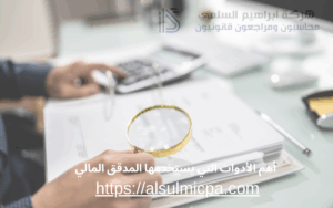 أهم الأدوات التي يستخدمها المدقق المالي
