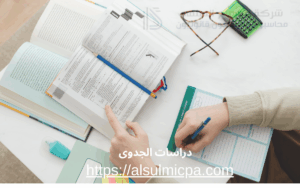 دراسات الجدوى