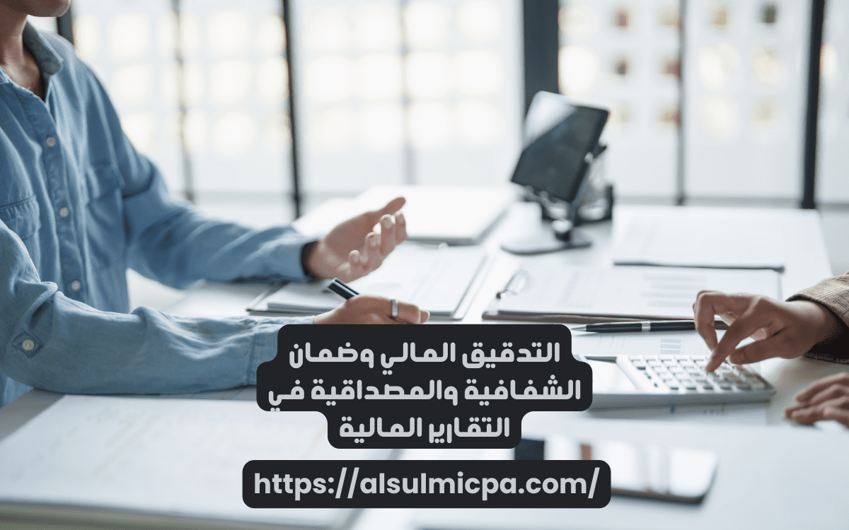 دور التدقيق المالي في تعزيز الشفافية 