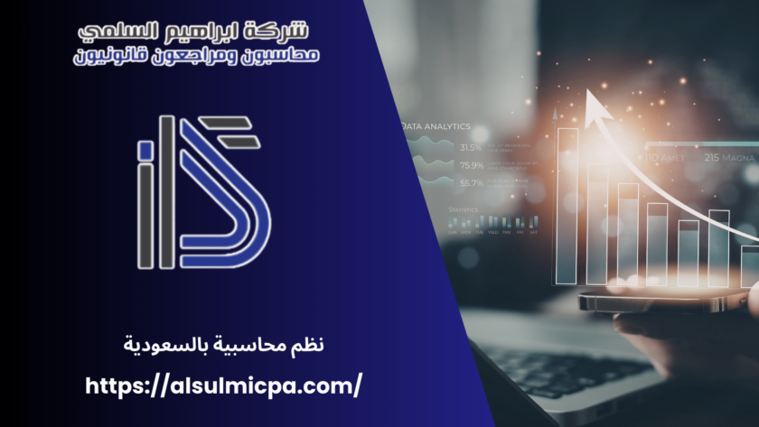 نظم محاسبية بالسعودية